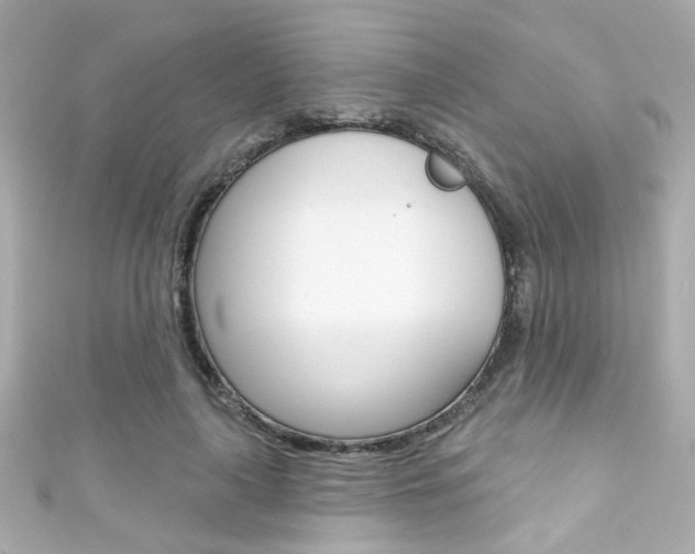 X0000111590643200907161154