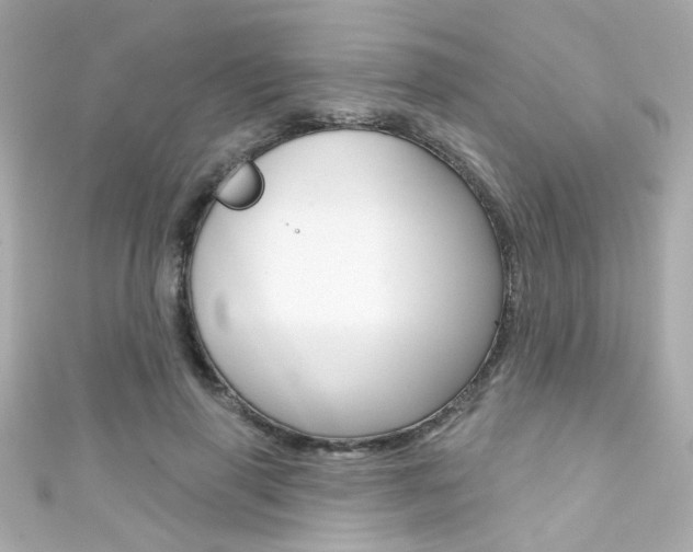 X0000111590645200907161154