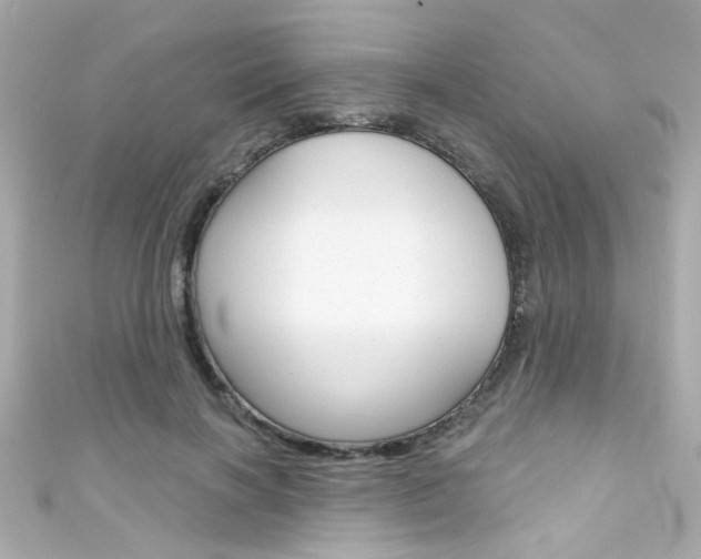 X0000111590646200907161154