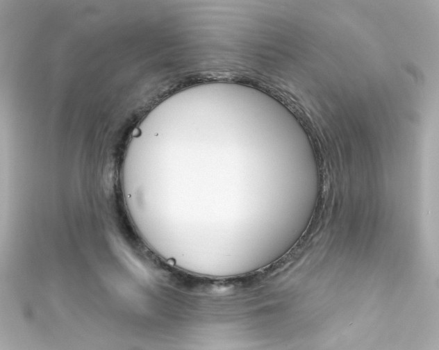 X0000111590647200907161154