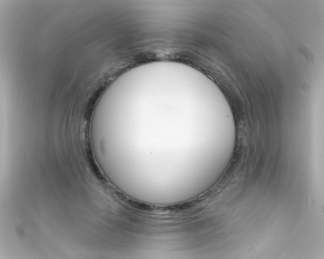 X0000111590650200907161154