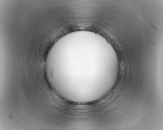 X0000111590657200907161154