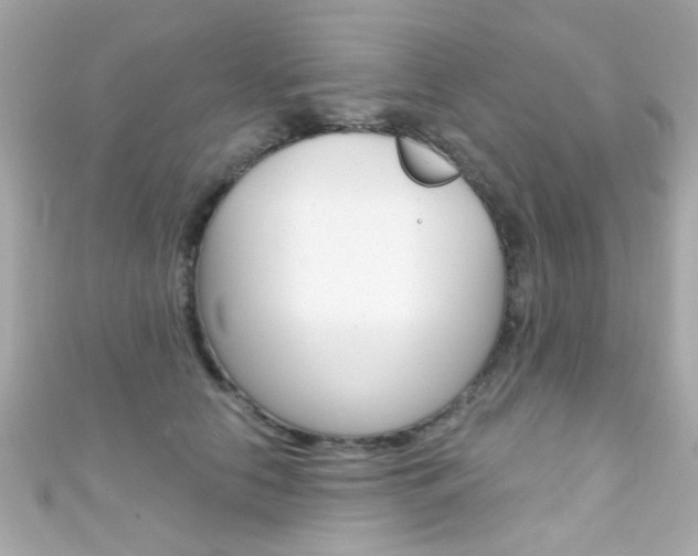 X0000111590658200907161154