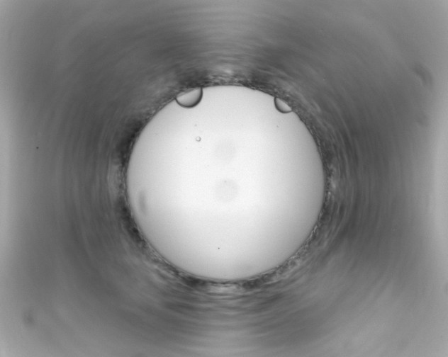 X0000111590659200907161154