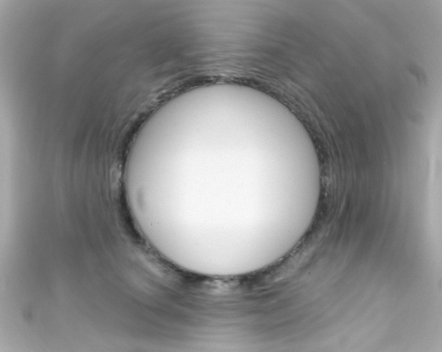 X0000111590660200907161154
