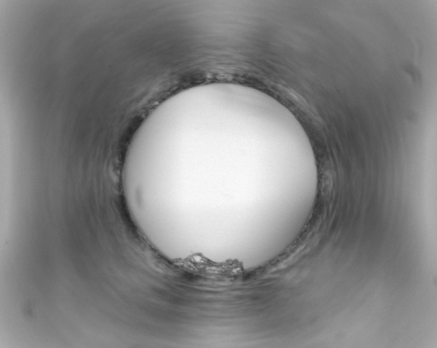 X0000111590661200907161154