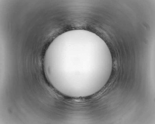 X0000111590662200907161154