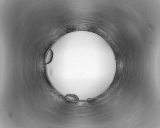 X0000111590663200907161154
