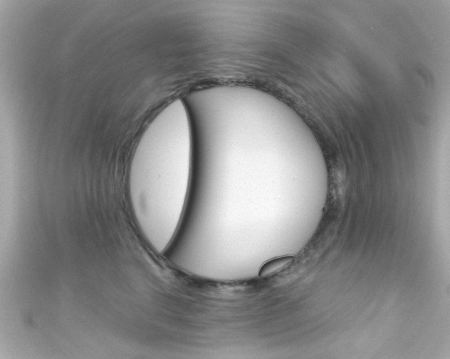 X0000111590664200907161154