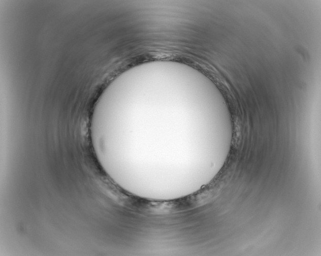 X0000111590667200907161154