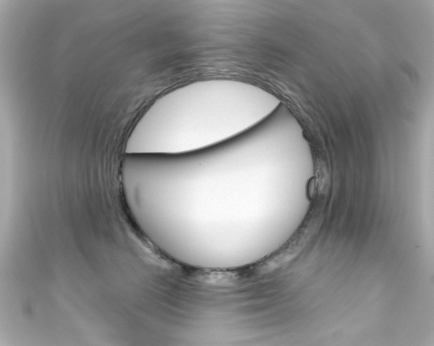 X0000111590670200907161154