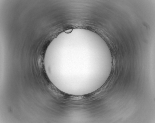 X0000111590671200907161154