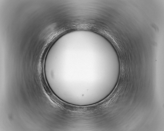 X0000111590674200907161153