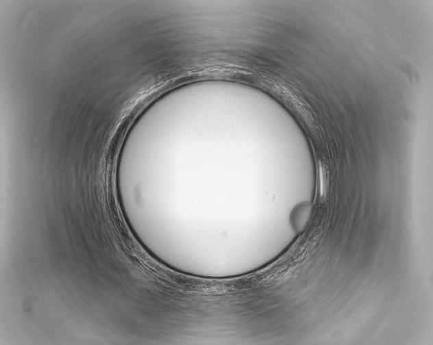 X0000111590675200907161153
