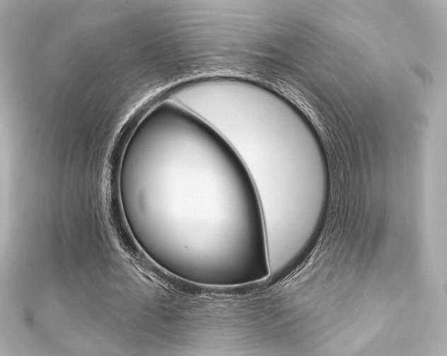 X0000111590676200907161153