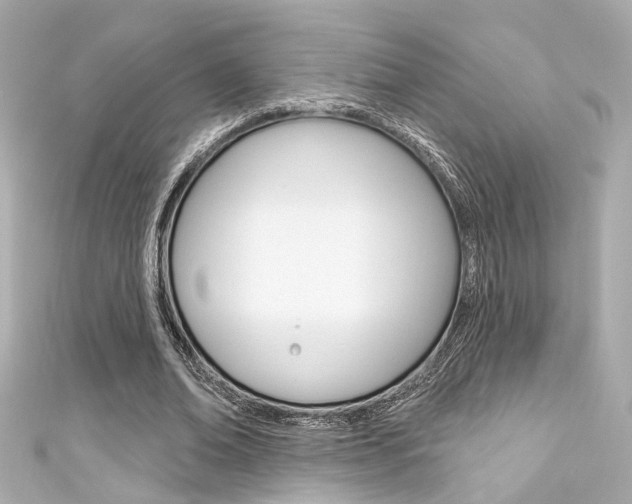 X0000111590678200907161153
