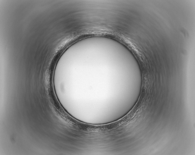 X0000111590679200907161153