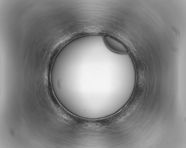 X0000111590681200907161153
