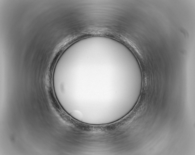 X0000111590682200907161153