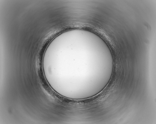 X0000111590683200907161153