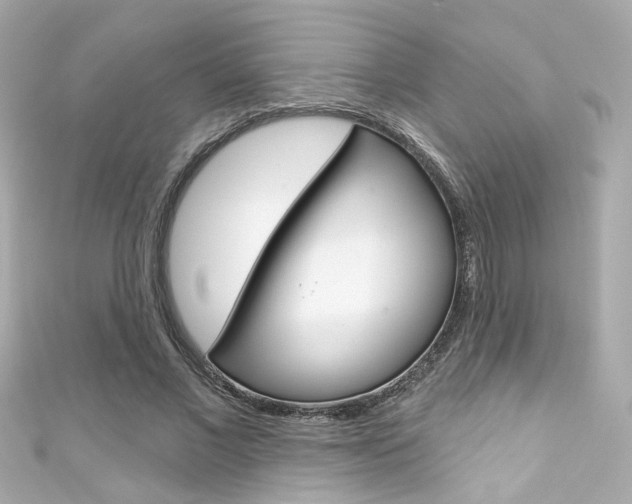 X0000111590685200907161153