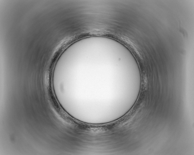 X0000111590686200907161153
