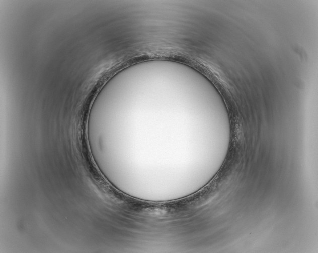 X0000111590687200907161153