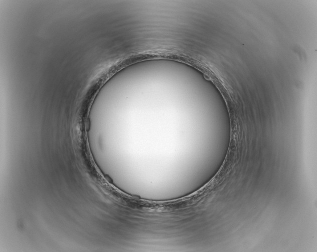 X0000111590688200907161153