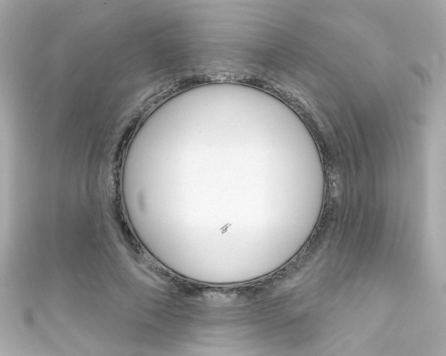 X0000111590690200907161153