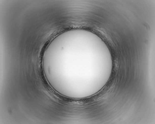 X0000111590691200907161153