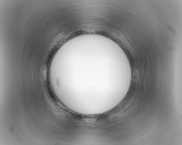 X0000111590694200907161153
