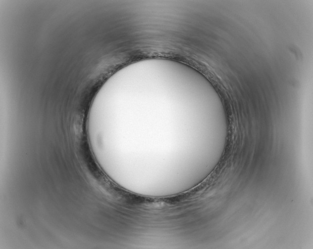 X0000111590695200907161153