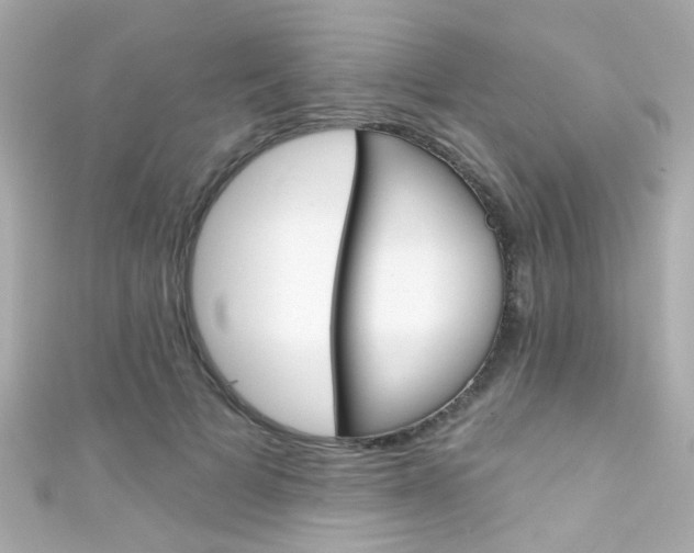 X0000111590697200907161153