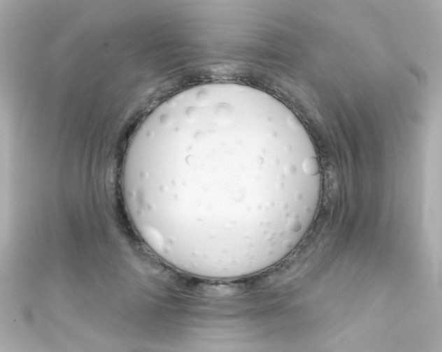 X0000111590698200907161153