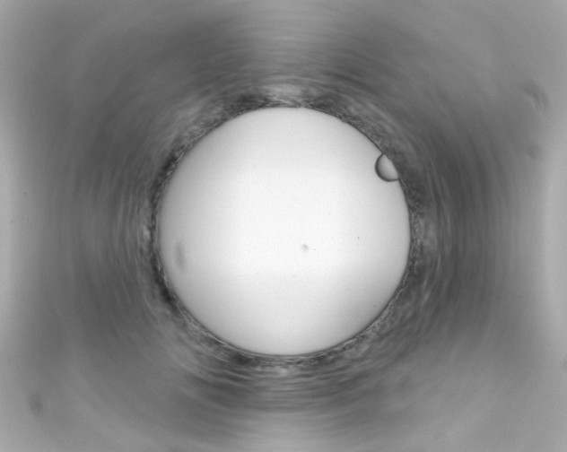 X0000111590702200907161153
