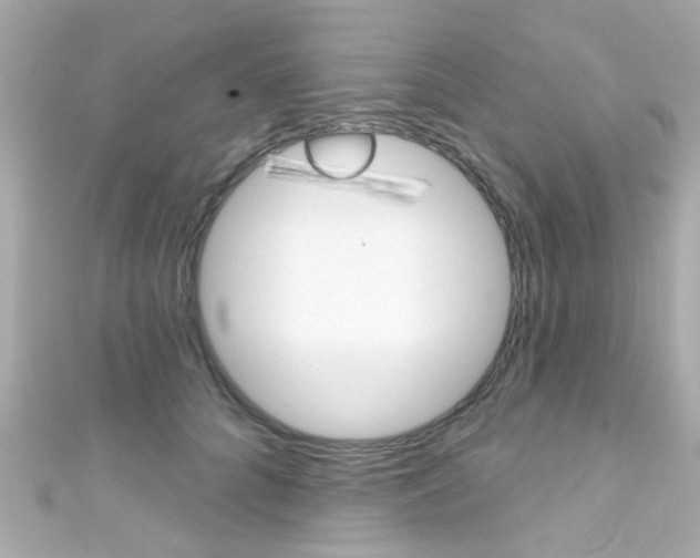 X0000111590704200907161153