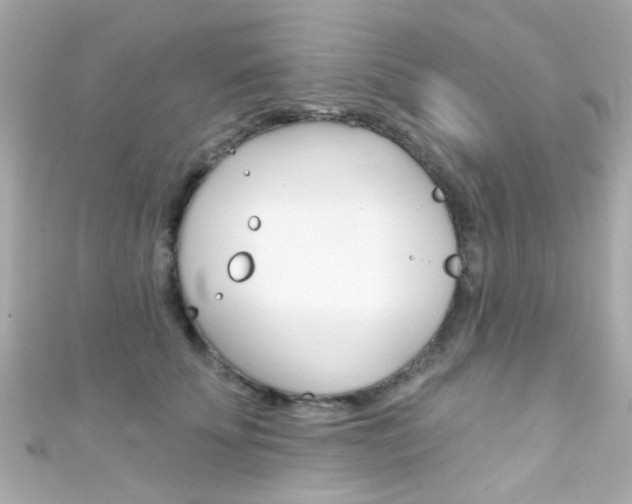X0000111590707200907161153
