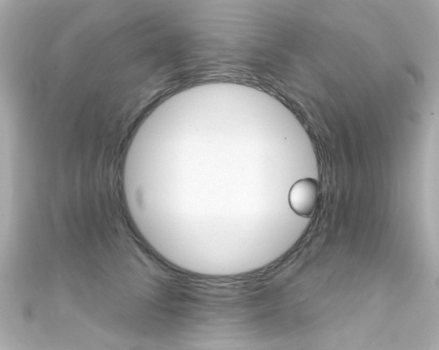 X0000111590708200907161153