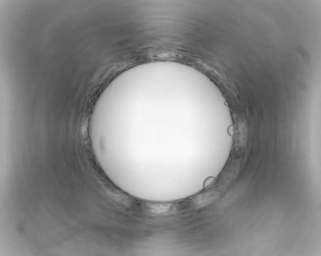 X0000111590709200907161153