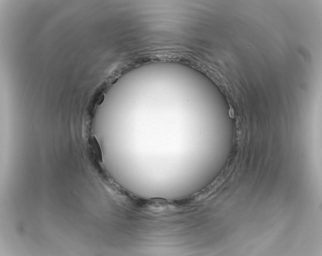 X0000111590712200907161153