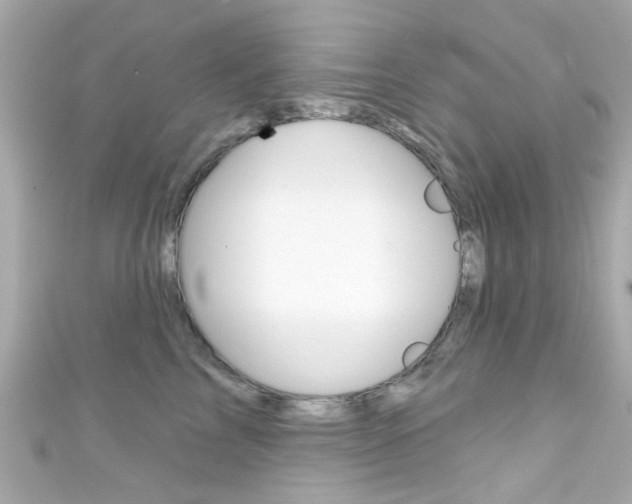 X0000111590713200907161153