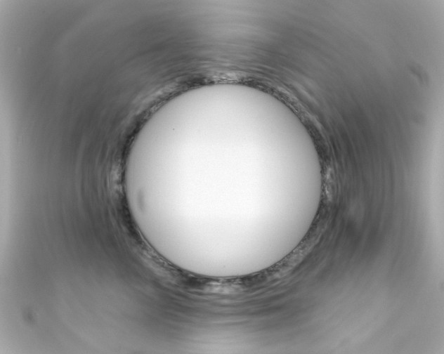 X0000111590714200907161153
