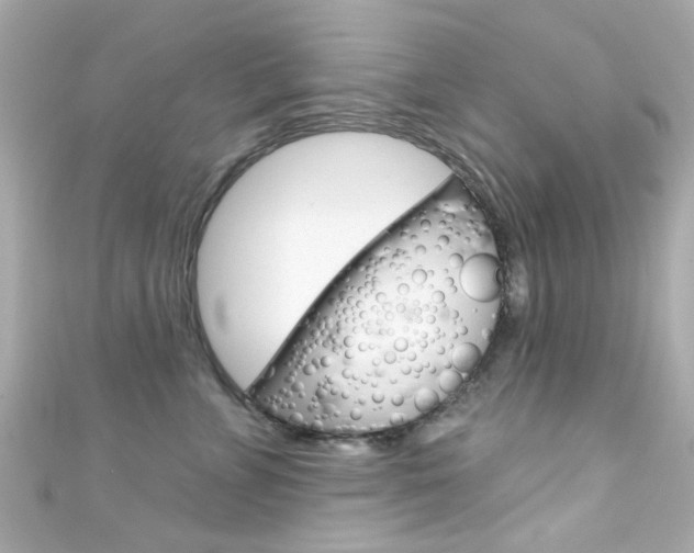 X0000111590715200907161153