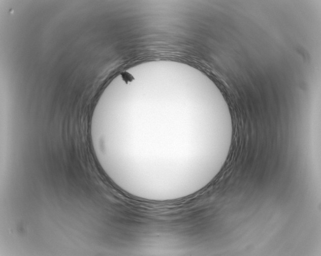 X0000111590716200907161153