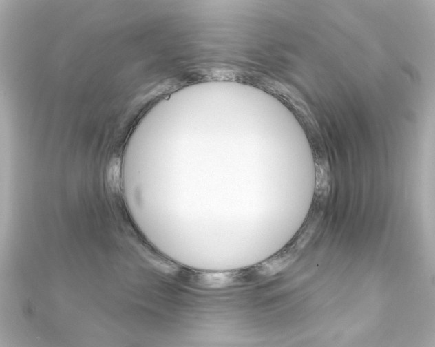 X0000111590717200907161153