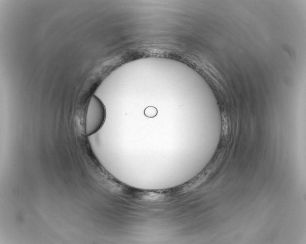 X0000111590718200907161153