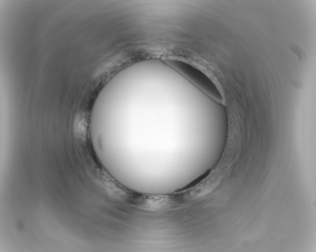 X0000111590720200907161153