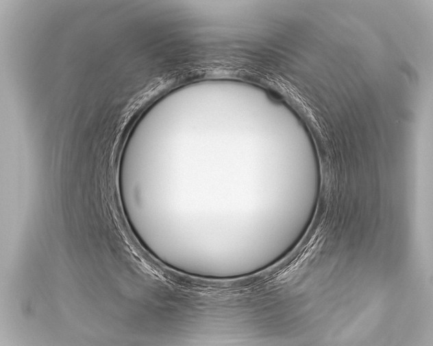 X0000111590721200907161152