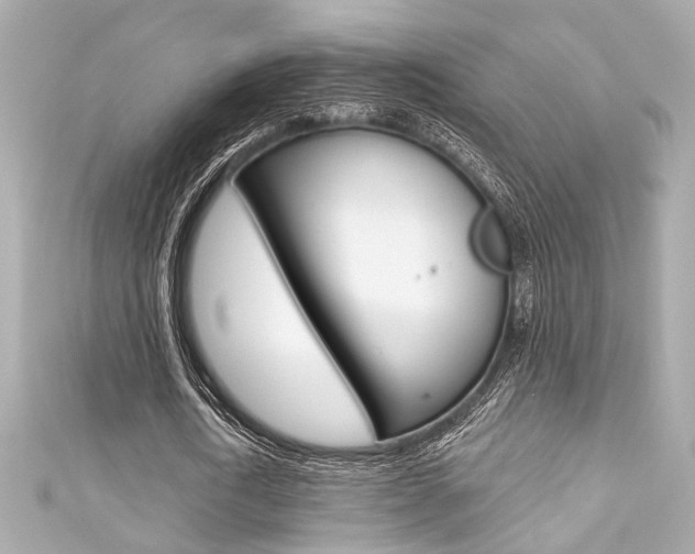 X0000111590722200907161152