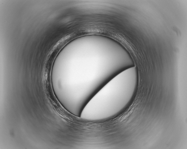 X0000111590723200907161152